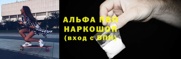 apvp Алзамай