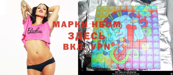 apvp Алзамай