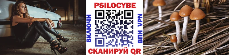 где продают   Зеленоградск  площадка как зайти  Псилоцибиновые грибы GOLDEN TEACHER 